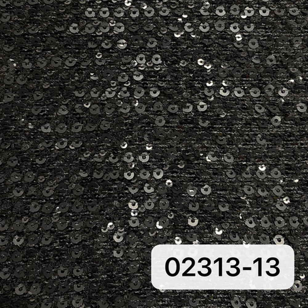 02313黑色珠片