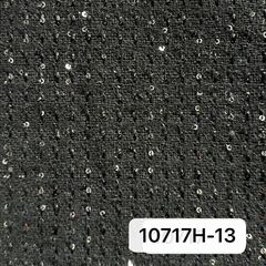10717H-13