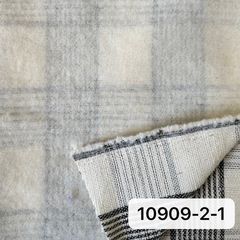 10909-2-1