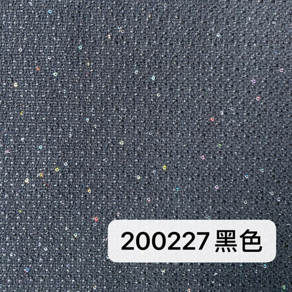 200227黑色珠片