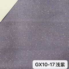 GX10浅紫
