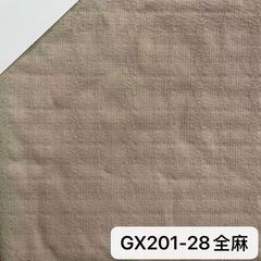 GX201全麻